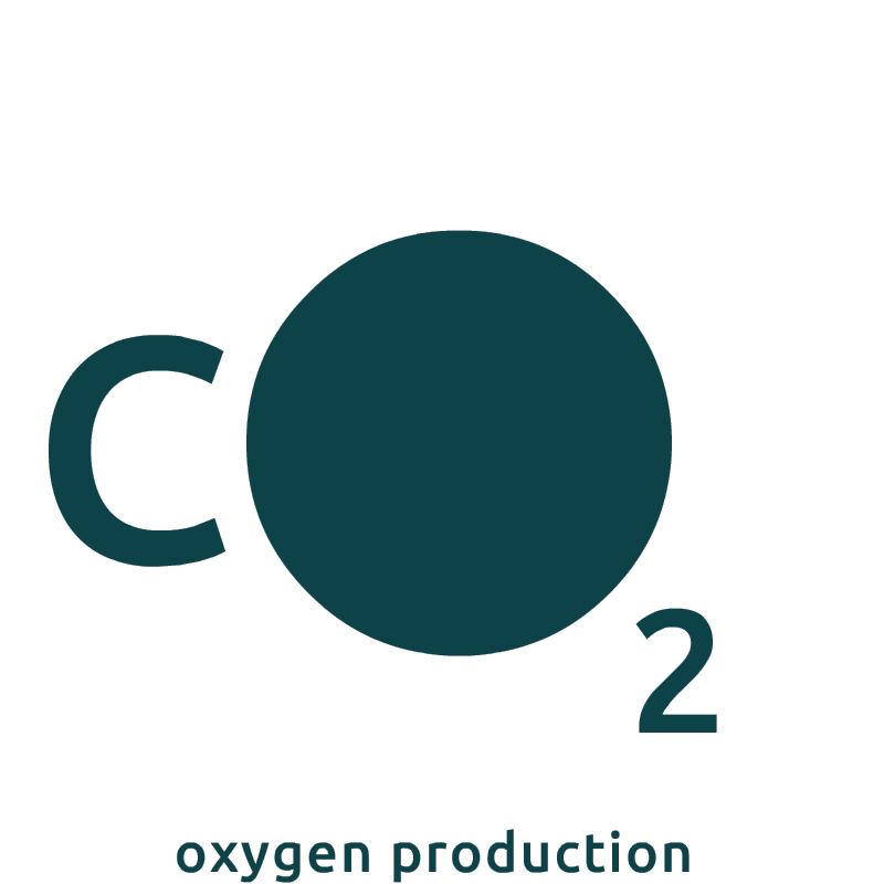 Icon_Sauerstoffproduktion_new