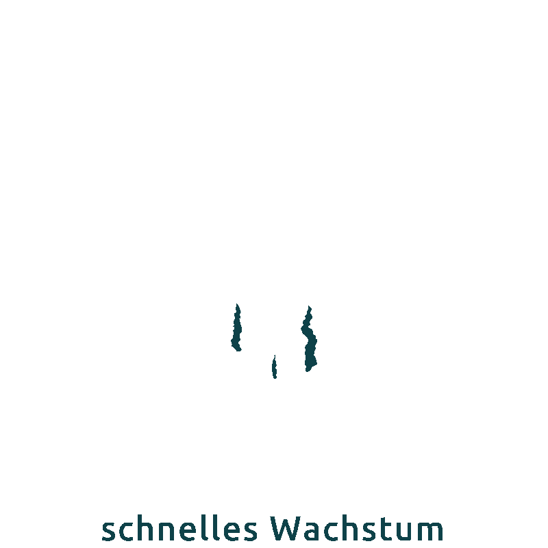 Icon_Wachstum-DE-neu