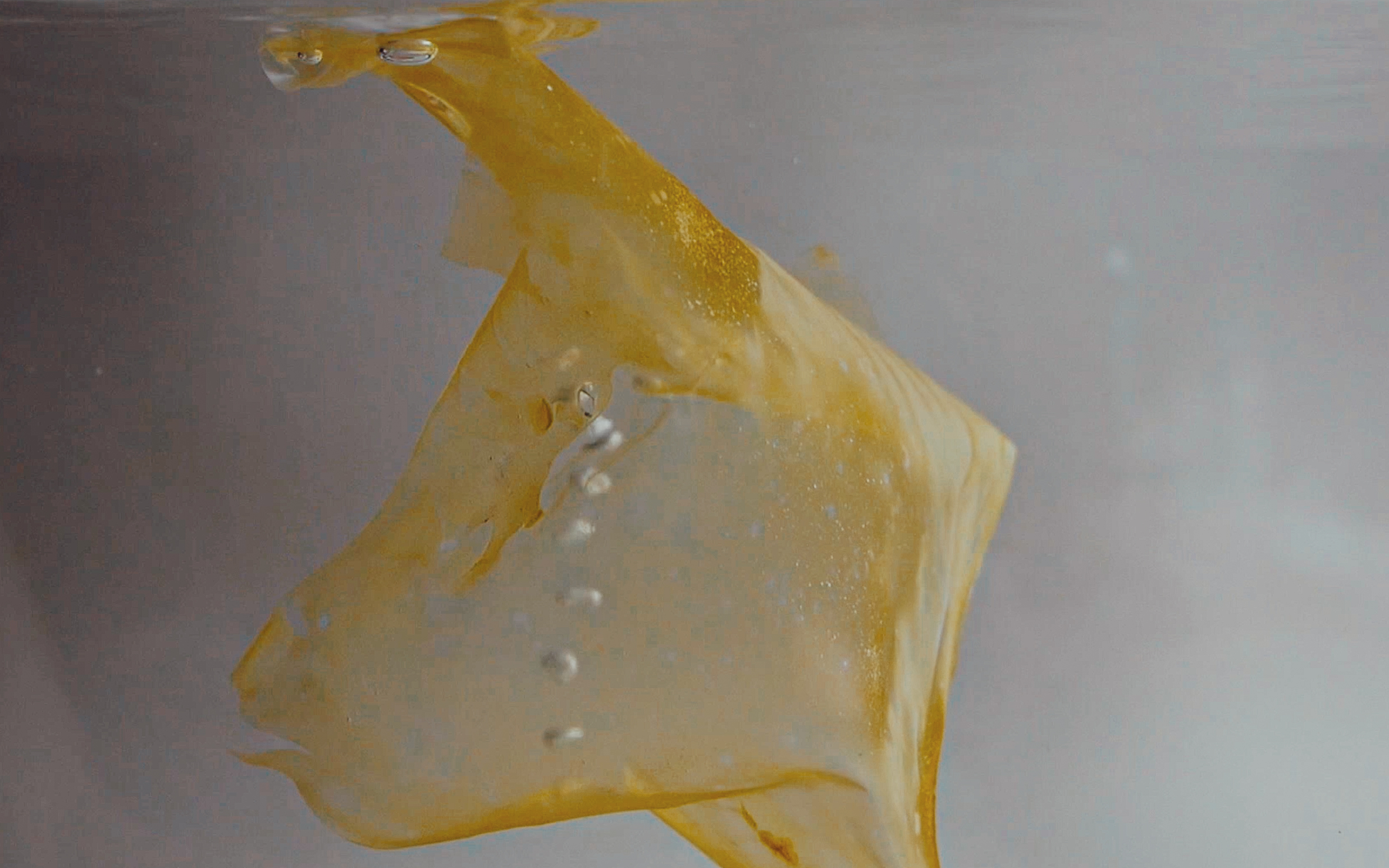 algae seaweed packaging mujō